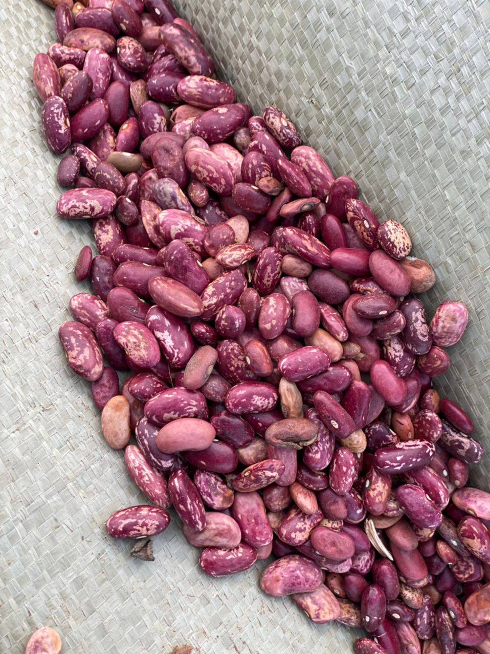 Solwezi Beans