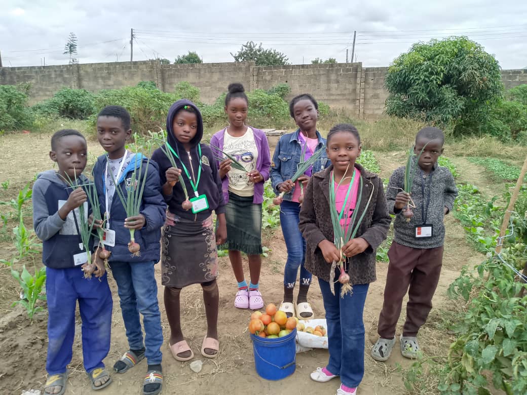 Innovative Programs for Skills Development