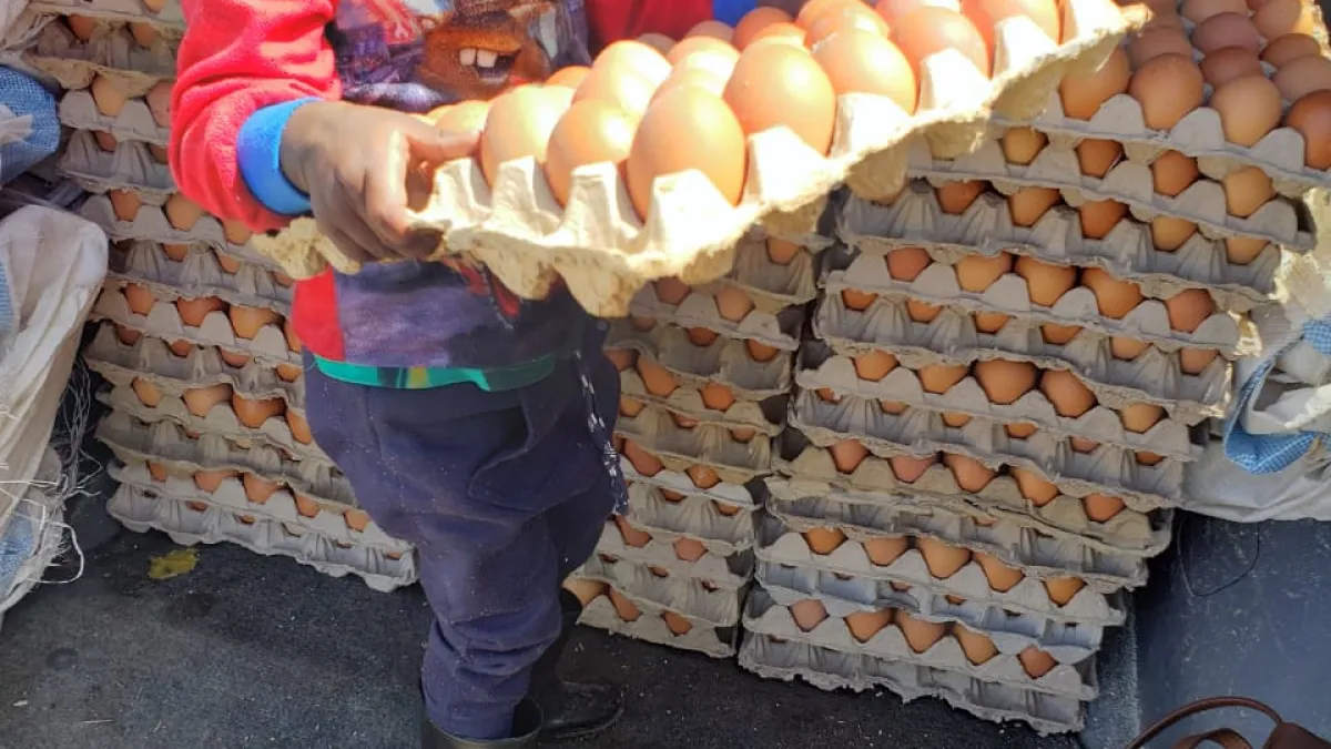 From Farm to Family#SDG 2 Zero Hunger